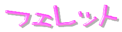 フェレット