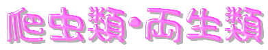 爬虫類